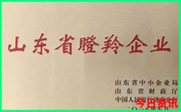 80岁老人怎样游黄山